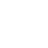 icons8-livraison-100